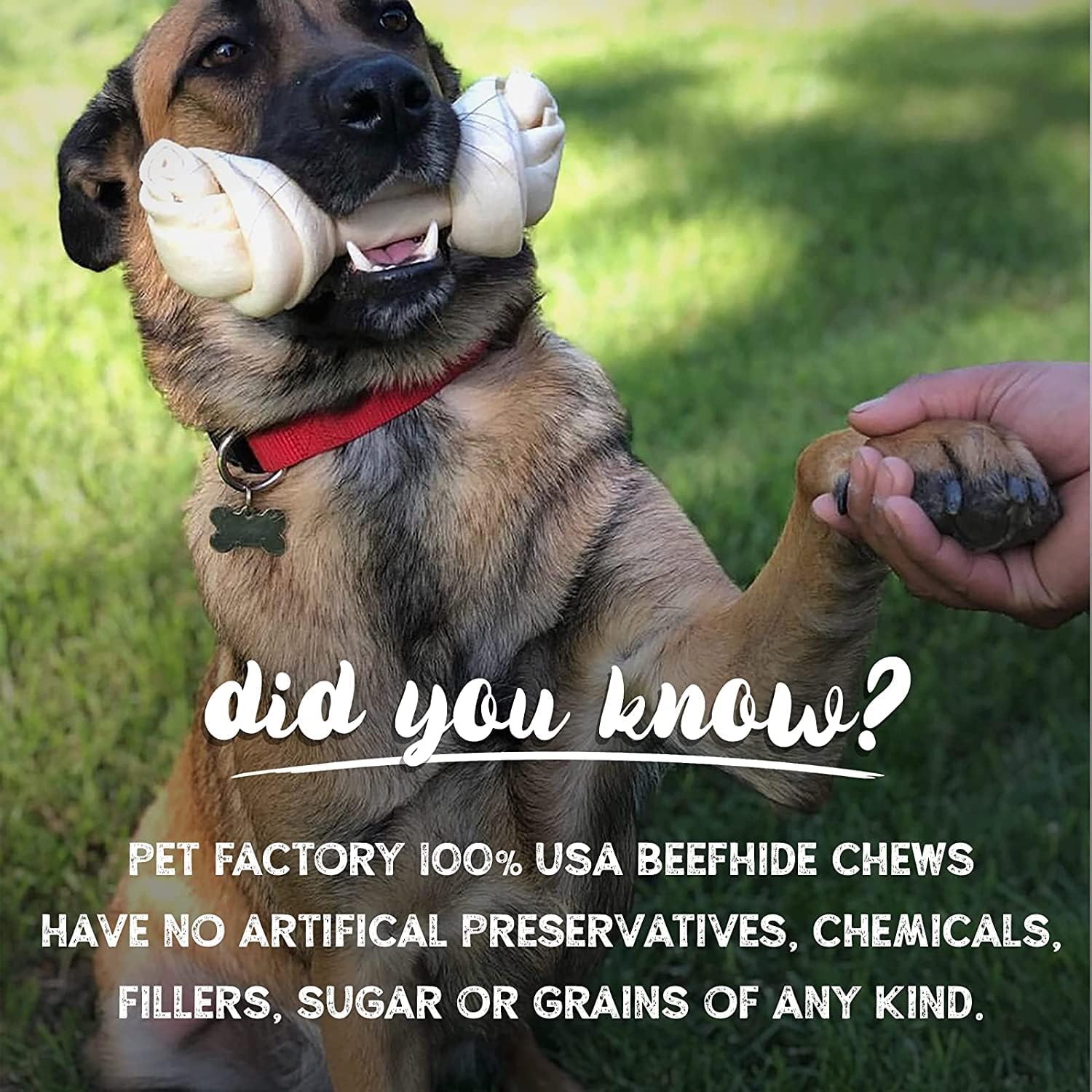 Pet Factory 100% Made in USA Beefhide 6-7" Knotted Bones Dog Chew Treats - Beef & Chicken Flavor, 8 Count/1 Pack