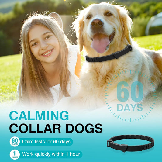 Calming Collar For Dogs 6 Packs Dog Pheromone Collars Relief Anxiety Stress Separation And Bad Behavior Pheromones Calm Lasts 60 Days 25 Inches Size Adjustable Waterproof Fit Small Large Medium Breed