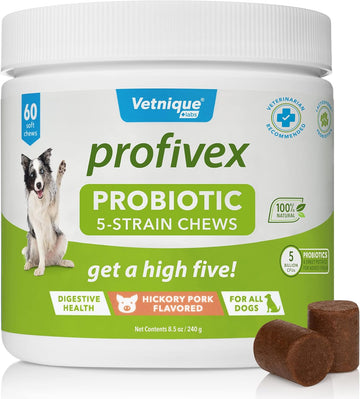 Vetnique Labs Profivex Probiotics For Dogs All Natural Dog Chews & Powder For Digestive Health Probiotic Supplements For Dogs 5 Strains Of Probiotics & Prebiotics (Soft Chews, 60Ct)