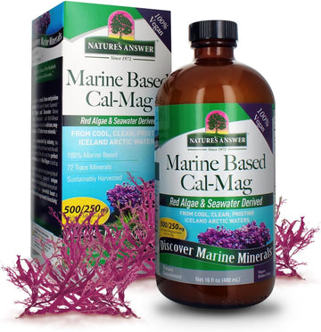 Nature'S Answer Marine Based Calcium Magnesium, Vanilla Cream, 16-Ounce | Natural Immune Support | Maintains Healthy Bones | Promote Heart Health | Muscular Function Support