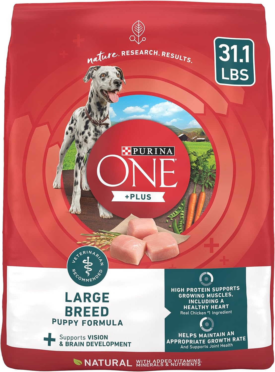 Purina ONE Plus Large Breed Puppy Food Dry Formula - 31.1 lb. Bag