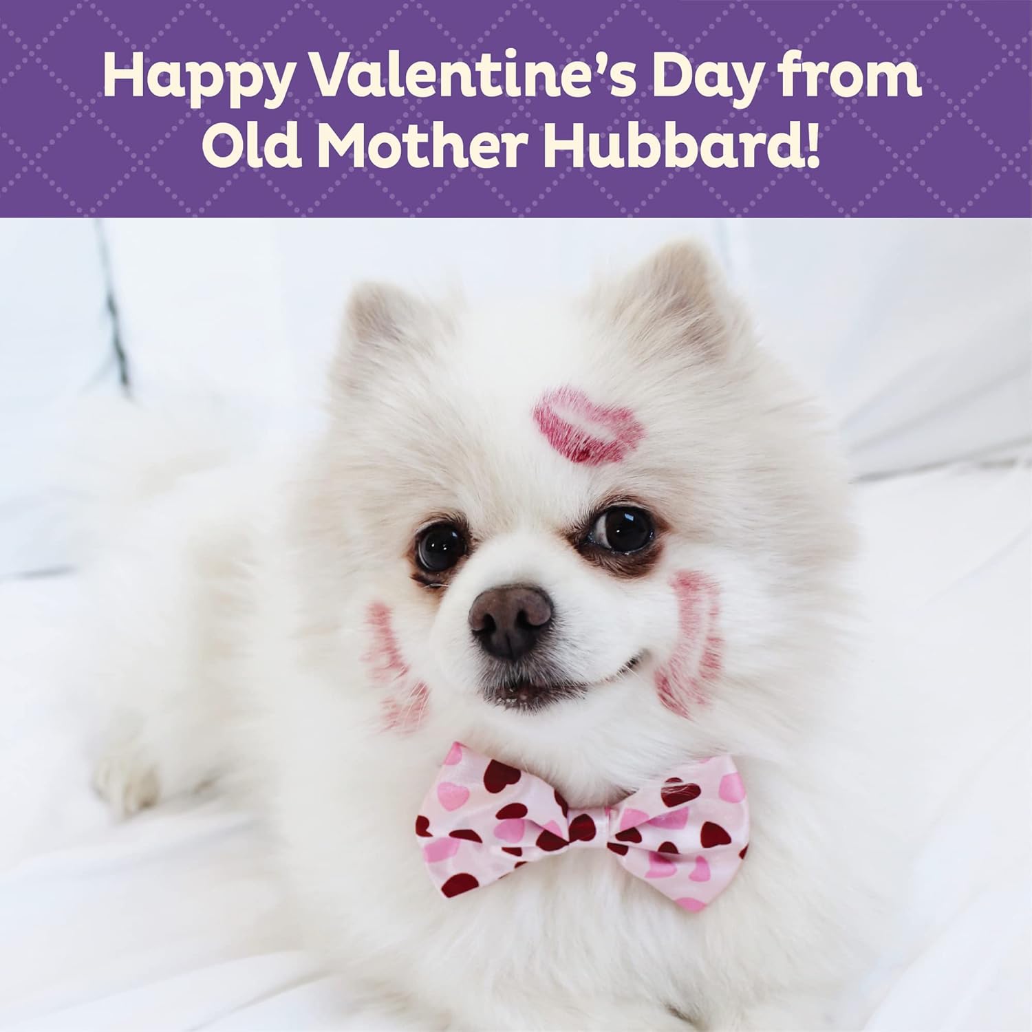 Old Mother Hubbard Natural Crunchy Dog Biscuits, Oven-Baked Healthy Treats for Dogs, Limited-Edition Holiday-Inspired Shapes (Peanut Butter - Valentine's Day, 6-Ounce Bag)