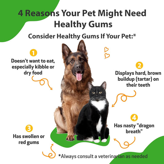 Pet Wellbeing Healthy Gums For Dogs & Cats - Veterinarian Formulated - Healthy Gums & Teeth, Oral Care For Gingivitis, Fresh Breath, Dental Health - Natural Topical For Cats & Dogs 4 Oz (118 Ml)