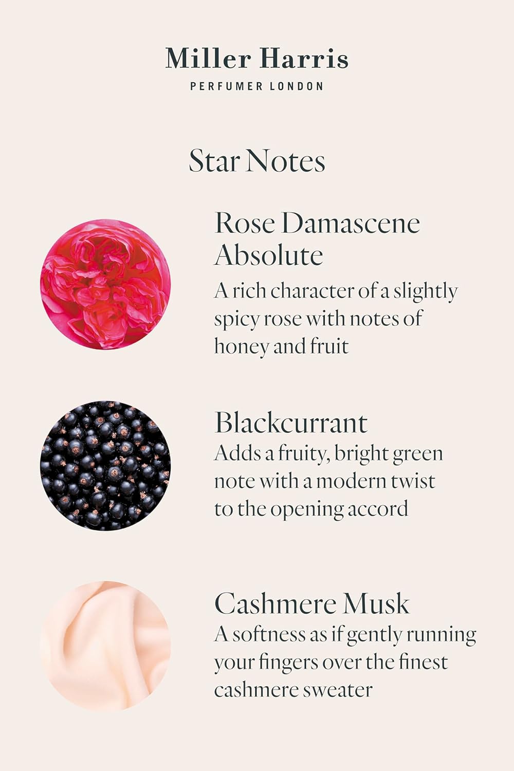 Rose Silence 50Ml 1.7Oz : Beauty & Personal Care