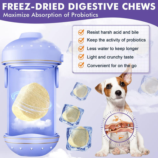 Probiotics For Dogs, Freeze-Dried Dog Probiotics And Digestive Enzymes, Plus Omega-3 For Itchy Skin, 3-In-1 Prebiotics For Digestive Health, Dog Vitamins And Supplements For Immune Health, 120 Bites