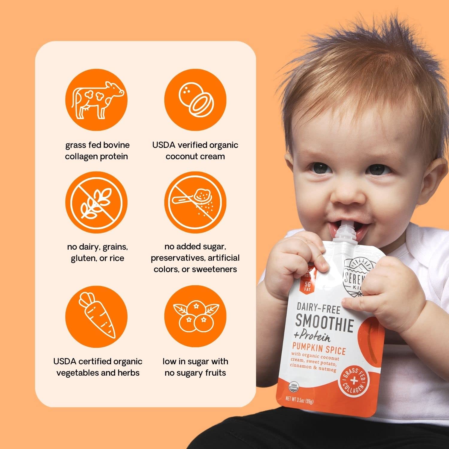 Serenity Kids Organic Pumpkin Spice Smoothie + Protein Baby Food, Dairy Free, 3.5 Ounces (Pack Of 6) : Baby