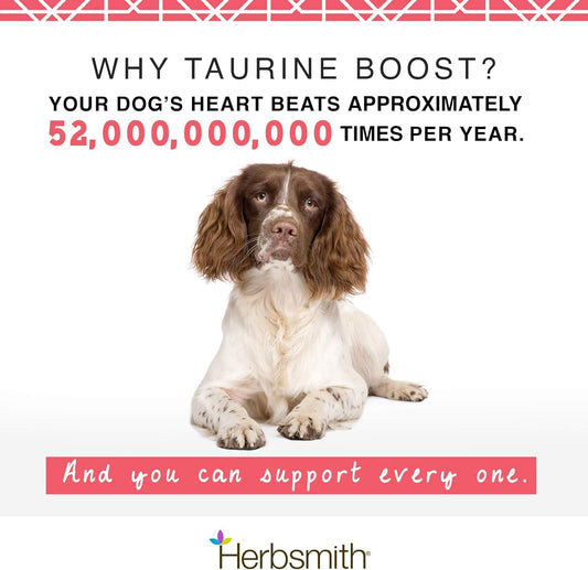 Herbsmith Taurine Boost - Cardiac And Heart Support For Dogs And Cats - Taurine Supplement For Dog And Cat Heart Health – With Coq10, Taurine And L-Carnitine For Dogs - 75G
