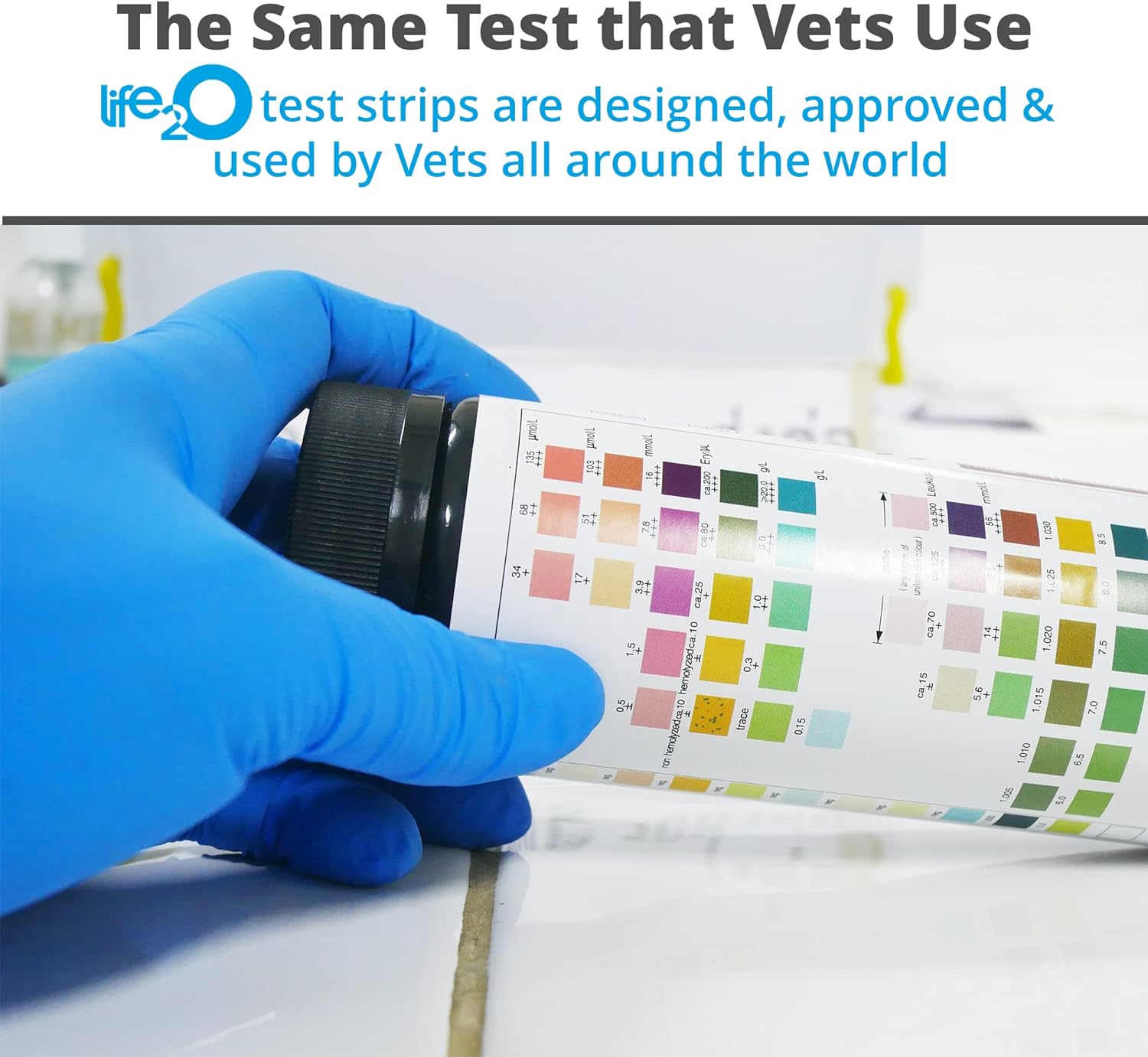 life2O 10-Parameter Cat & Dog Urine Test Strips 60ct, Cat & Dog UTI Test Kit, Diabetes Testing for Diabetic Pets, Urinalysis Reagent Strips: Glucose, Specific Gravity, pH, Ketone, Protein & More. : Pet Supplies