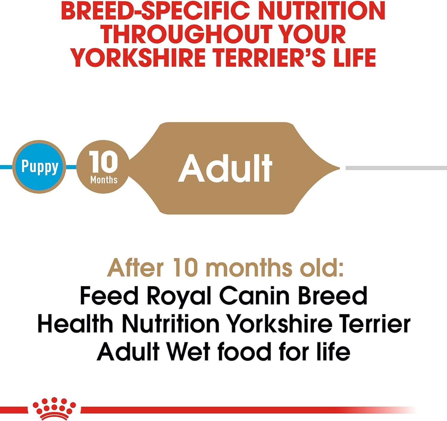 Royal Canin Yorkshire Terrier Adult Breed Specific Wet Dog Food, 3 oz can (24-count): Pet Supplies: Amazon.com