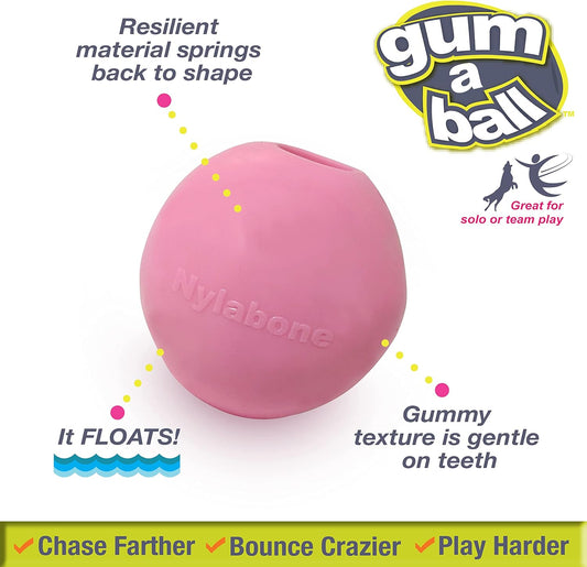 Nylabone Power Play Gum-A-Ball Toy For Dogs One Size (2 Count)