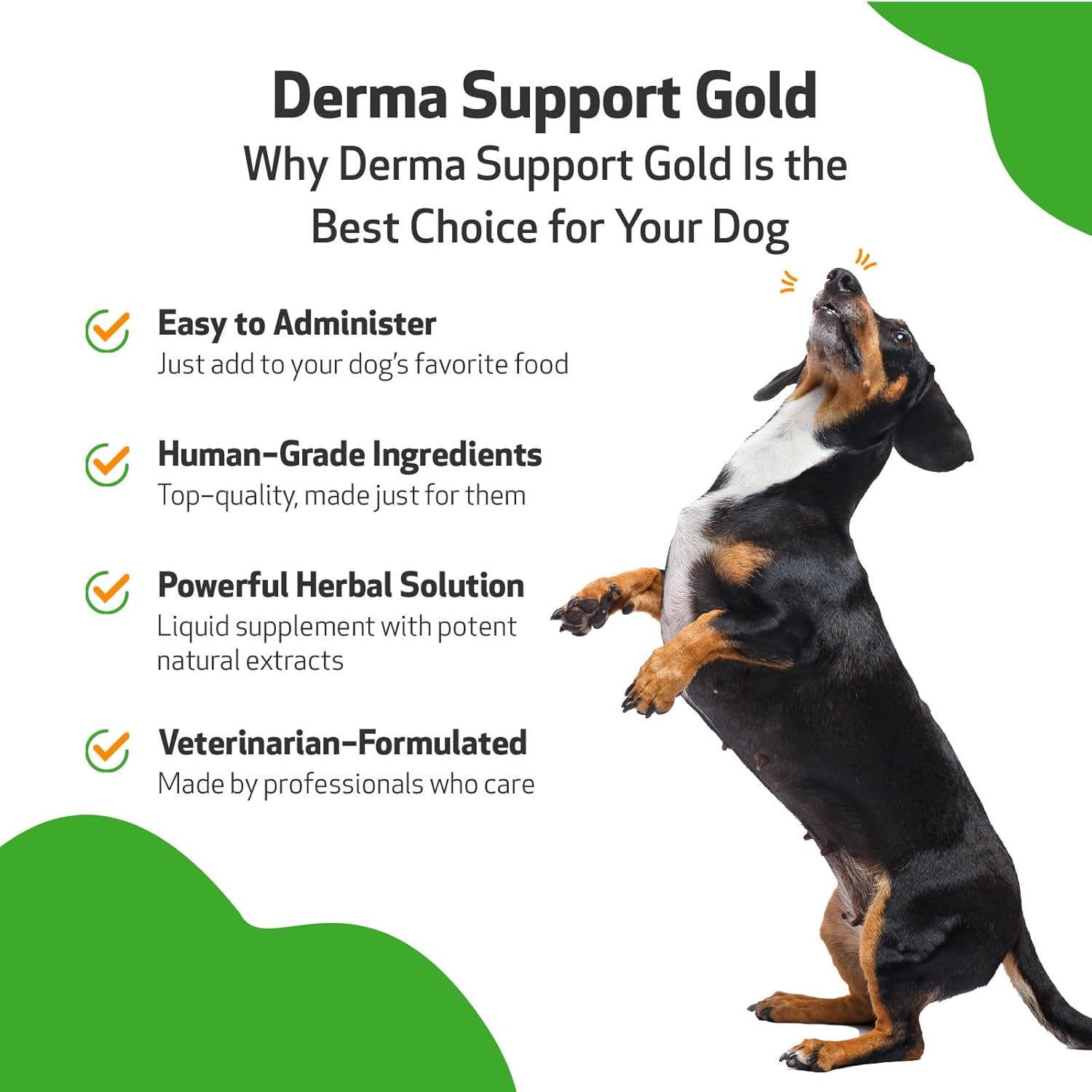 Pet Wellbeing Derma Support Gold for Dogs - Vet-Formulated - Normal Skin Yeast Balance, Skin Itching & Odor - Natural Herbal Supplement 2 oz (59 ml) : Pet Supplies