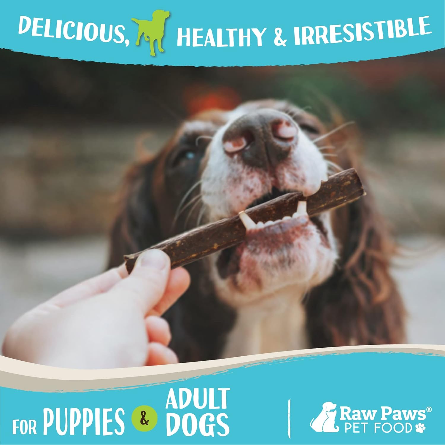 Raw Paws Wild-Caught Venison Treats for Dogs, 6-oz - Packed in USA - Real Meat Venison Jerky Dog Treats Free-Range Venison Dog Jerky Treats - All-Natural, Grain, Corn & Soy Free Venison Dog Treats : Pet Supplies
