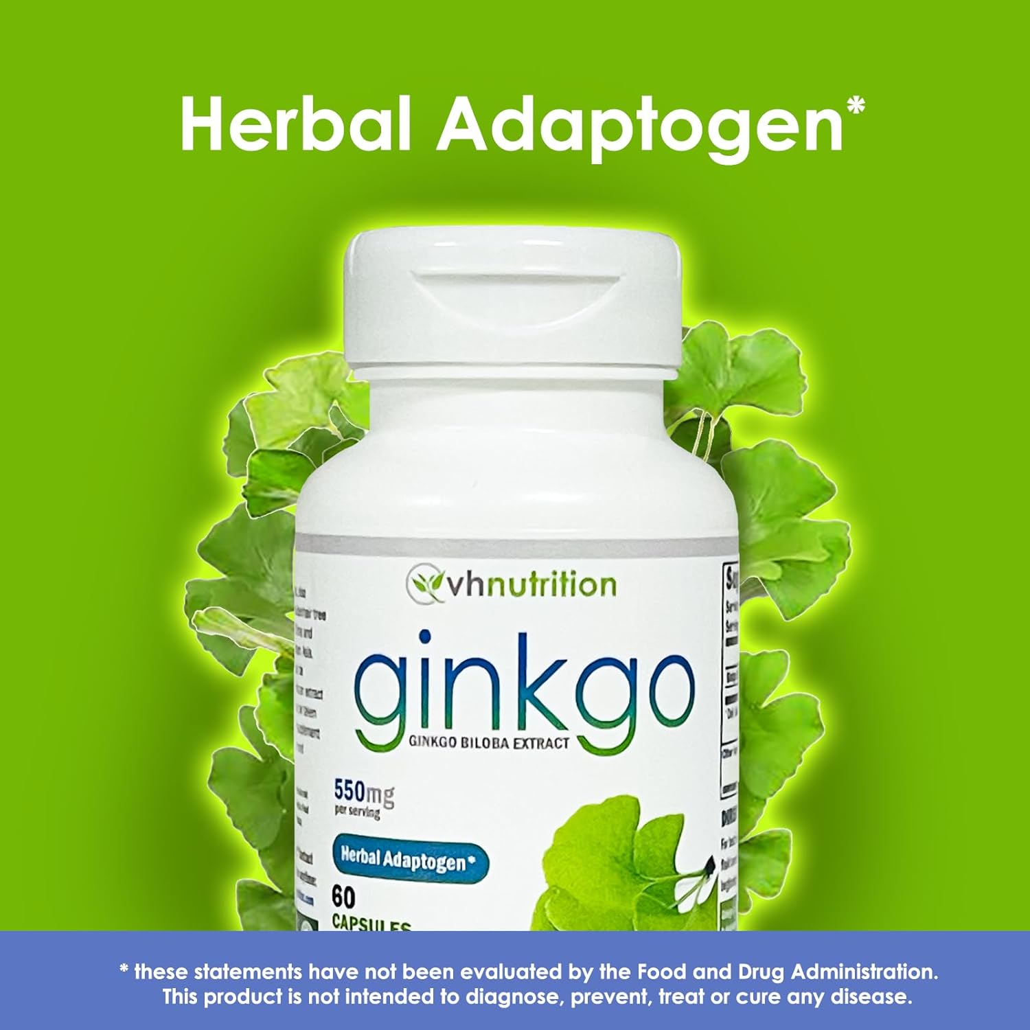 VH Nutrition GINKGO BILOBA | 550mg Standardized Extract Supplements | Cognitive and Memory Support* | 60 Capsules : Health & Household