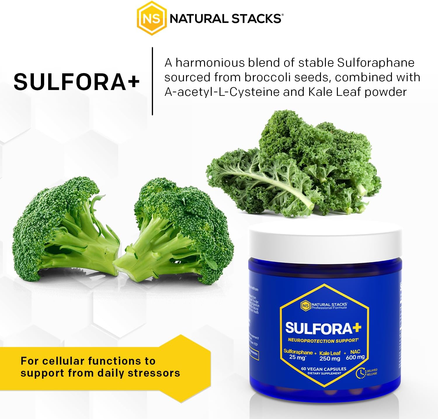 NATURAL STACKS Sulforaphane Supplement 25mg - Organic Broccoli Sprouts Supplement - Superfood Kale Leaf Powder with N-Acetyl-L-Cysteine (NAC) - Brain Health Supplements, 120 Vegan Capsules : Health & Household