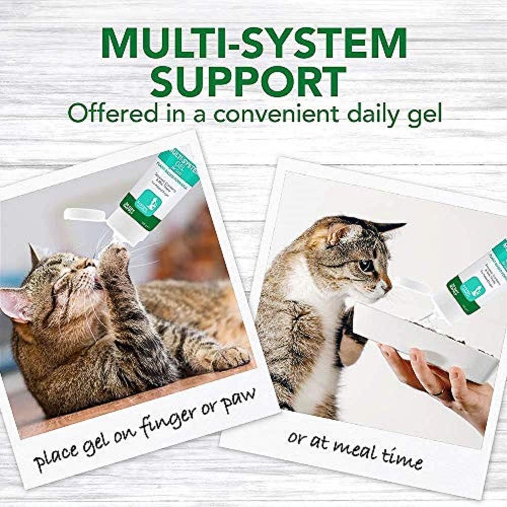 Vet's Best Multi-system support Cat Supplement Gel Promotes Healthy Immune System, 100g :Pet Supplies