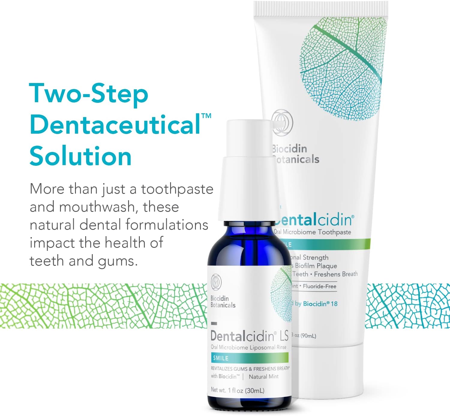 Biocidin Dentalcidin - Fluoride Free Toothpaste for Daily Oral Care + Teeth Whitening - Gentle Wellness Toothpaste Removes Biofilms + Plaque to Protect Teeth + Gums - for Kids + Adults (3 oz) : Health & Household