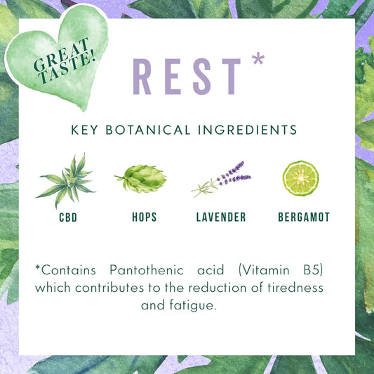 Grass & Co. Rest Fast-Acting Night-Time Cbd Oil Drops 500Mg (5.5%) With A Restful Botanical Blend Of Cbd, Hops, Lavender, Bergamot & Vitamin B5 To Help Reduce Tiredness & Fatigue 10Ml Bottle