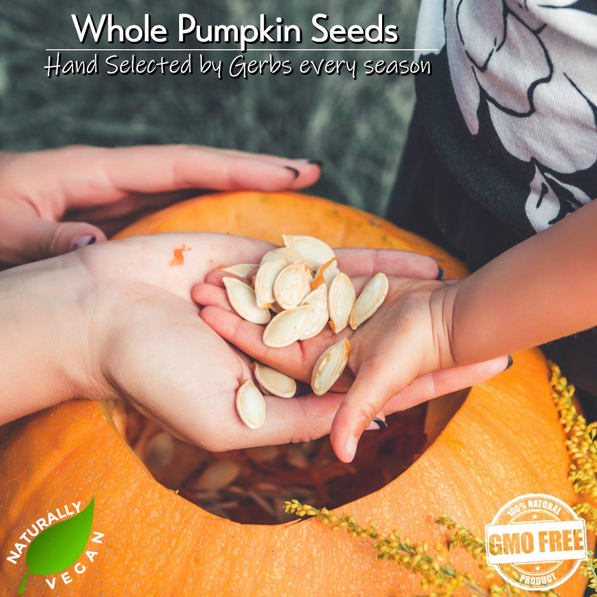 Jumbo Raw Pumpkin Seeds in Shell by Gerbs - 4 LBS - Top 11 Food Allergen Free & Non GMO - Vegan & Kosher - Premium Giant Size Whole Pepitas – COG USA : Grocery & Gourmet Food