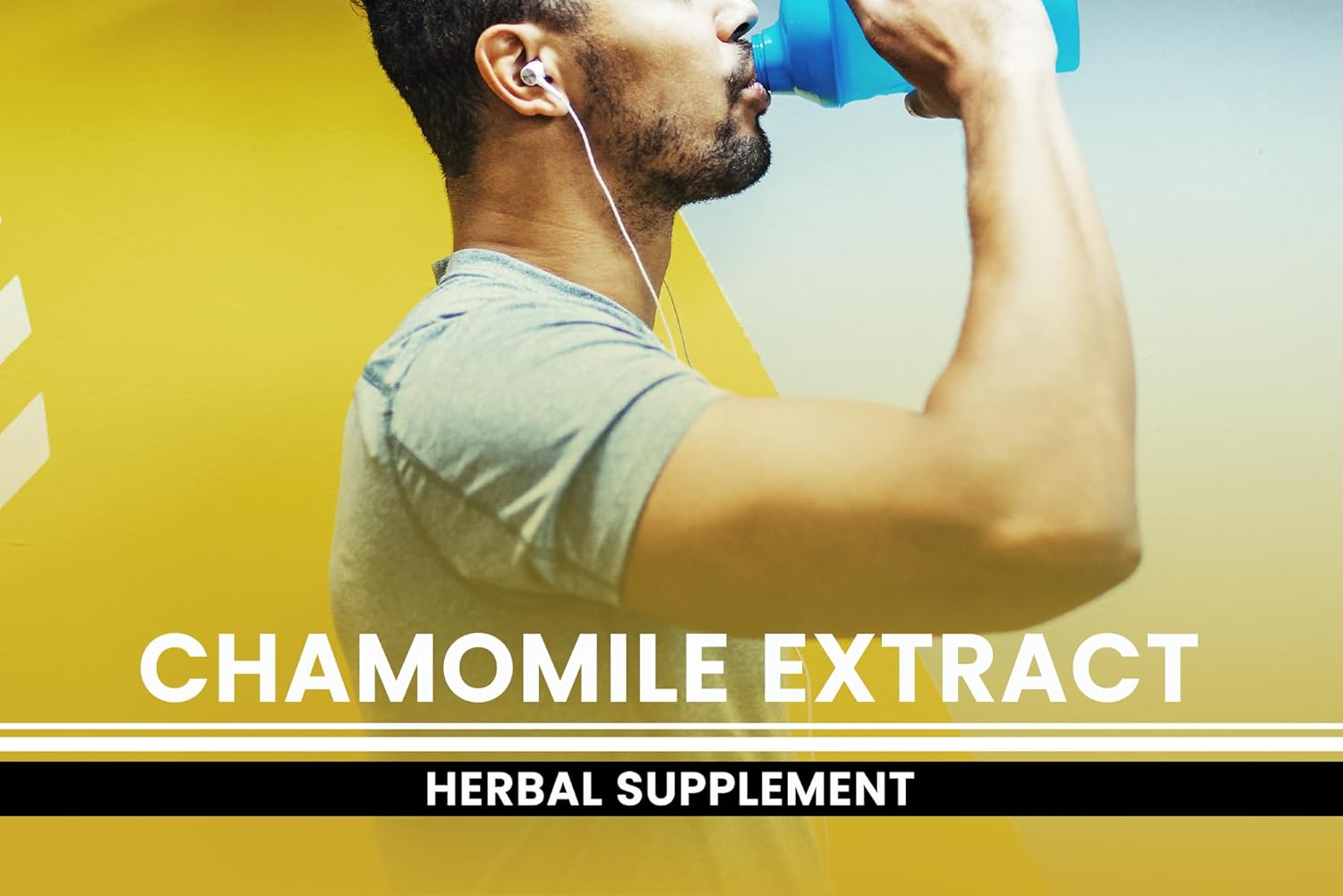 PURE ORIGINAL INGREDIENTS Chamomile Extract (365 Capsules) No Magnesium Or Rice Fillers, Always Pure, Lab Verified : Health & Household