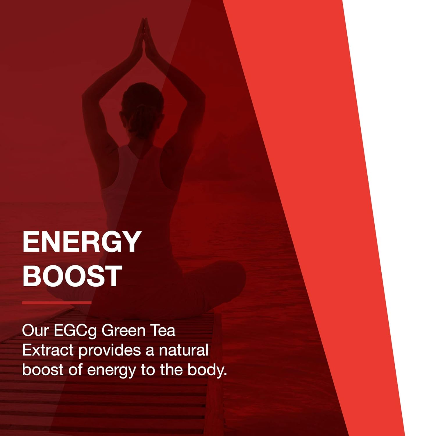 Protocol EGCg Green Tea Extract 200mg - Oxidative Stress Quencher, Cellular Health - 90 Veg Caps : Herbal Supplements : Health & Household