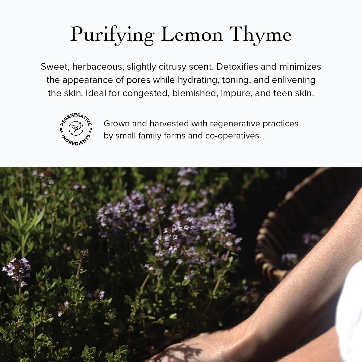 Evanhealy Lemon Thyme Hydrosoul | Copper Distilled Hydrosol | Purifying Facial Tonic | Organic Plant Face Toner | Purify & Decongest Blemished, Congested, Teen Skin : Facial Care Products : Beauty & Personal Care