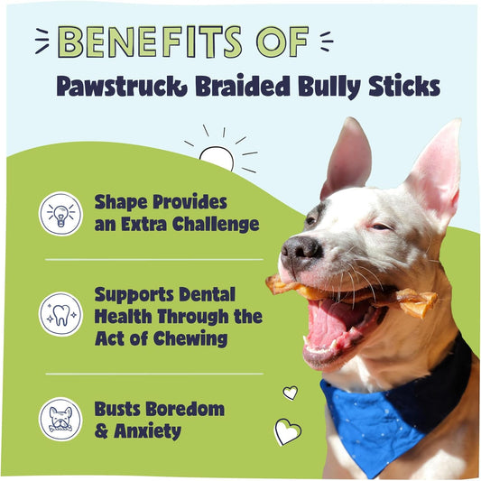Pawstruck Natural 5” Braided Bully Sticks for Dogs - Tough Long Lasting, Rawhide Free, Low Odor, Healthy Single Ingredient Chew Treat for Aggressive Chewers - 10 Count - Packaging May Vary