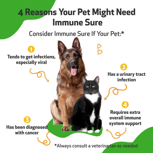 Pet Wellbeing Immune Sure For Dogs & Cats - Vet-Formulated - Immune System Support & Protections - Natural Herbal Supplement 4 Oz (118 Ml)