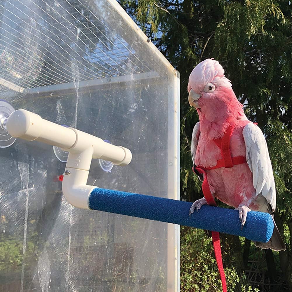 Northern Parrots Sanded Nail Trimming Shower Perch for Parrots - Large