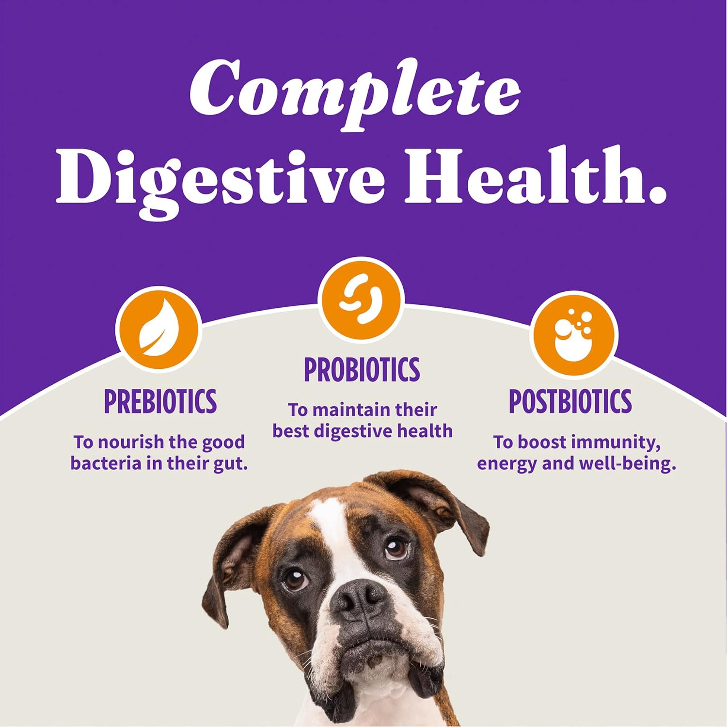 Halo Purely for Pets Holistic Dog Food, Complete Digestive Health Cage-Free Chicken and Brown Rice Recipe, Dry Dog Food Bag, Puppy Formula, 3.5-lb Bag : Pet Supplies