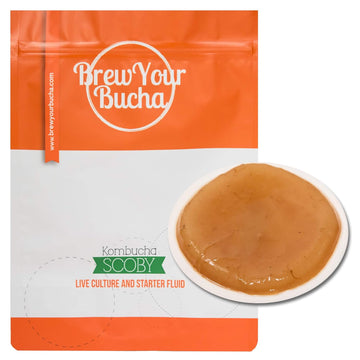 Brew Your Bucha Kombucha Tea Kombucha Starter Kit, Live Culture, Scoby Starter, Kit, Diy Brewing Kit (1 Pack)