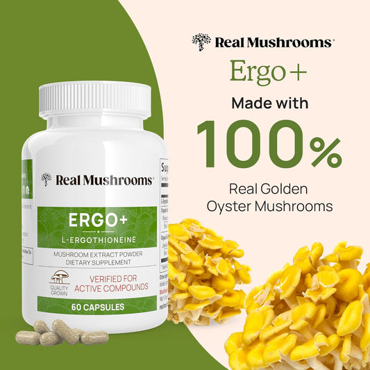 Real Mushrooms L-Ergothioneine, Golden Oyster Mushroom Extract (60Ct) Longevity, Immune Support & Brain Supplement Mushroom Blend With Beta Glucan - Organic, Vegan Mushroom Supplements