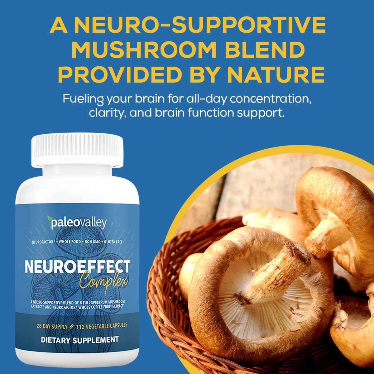 Paleovalley NeuroEffect - Neuro Mushroom Coffee Nutritional Supplement for Focus, Memory, and Energy Support - 3 Pack - 8 Full-Spectrum Mushrooms and Whole Coffee Fruit Extracts : Health & Household