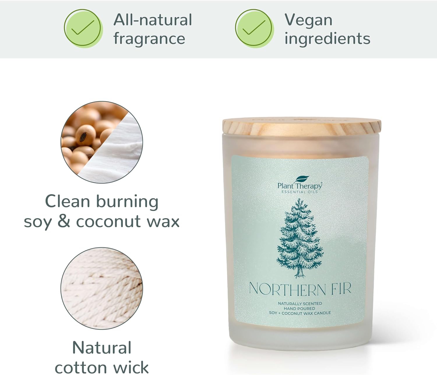 Plant Therapy Northern Fir Naturally Scented Candle 8 oz Hand-Poured Coconut & Soy Wax Blend, Refreshing Forest Scent, Chic Frosted White Jar with Wooden Lid : Health & Household