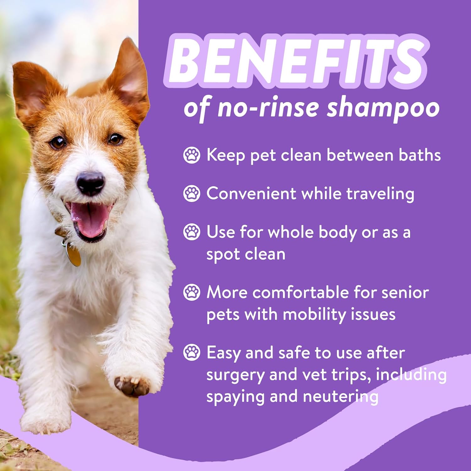 Bodhi Dog Lavender + Lemongrass + Oatmeal & Apple Waterless Shampoo 8oz + Grooming Shampoo Brush Bundle