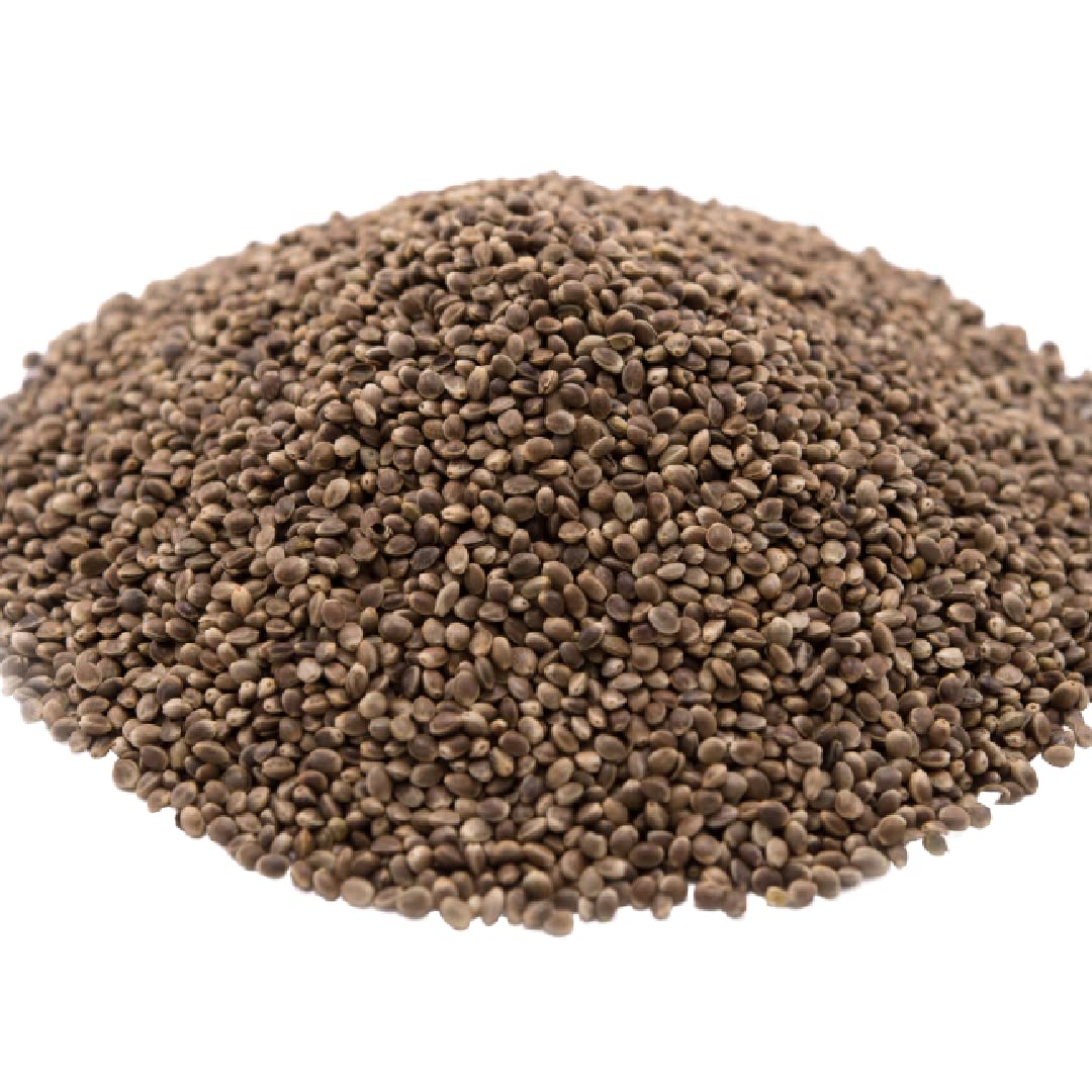 GERBS Roasted Unsalted Whole Hemp Seeds 2 LBS. Premium Grade | Resealable Bulk Bag |High in Magnesium, Protein & Fiber| Gluten Peanut Tree Nut Free