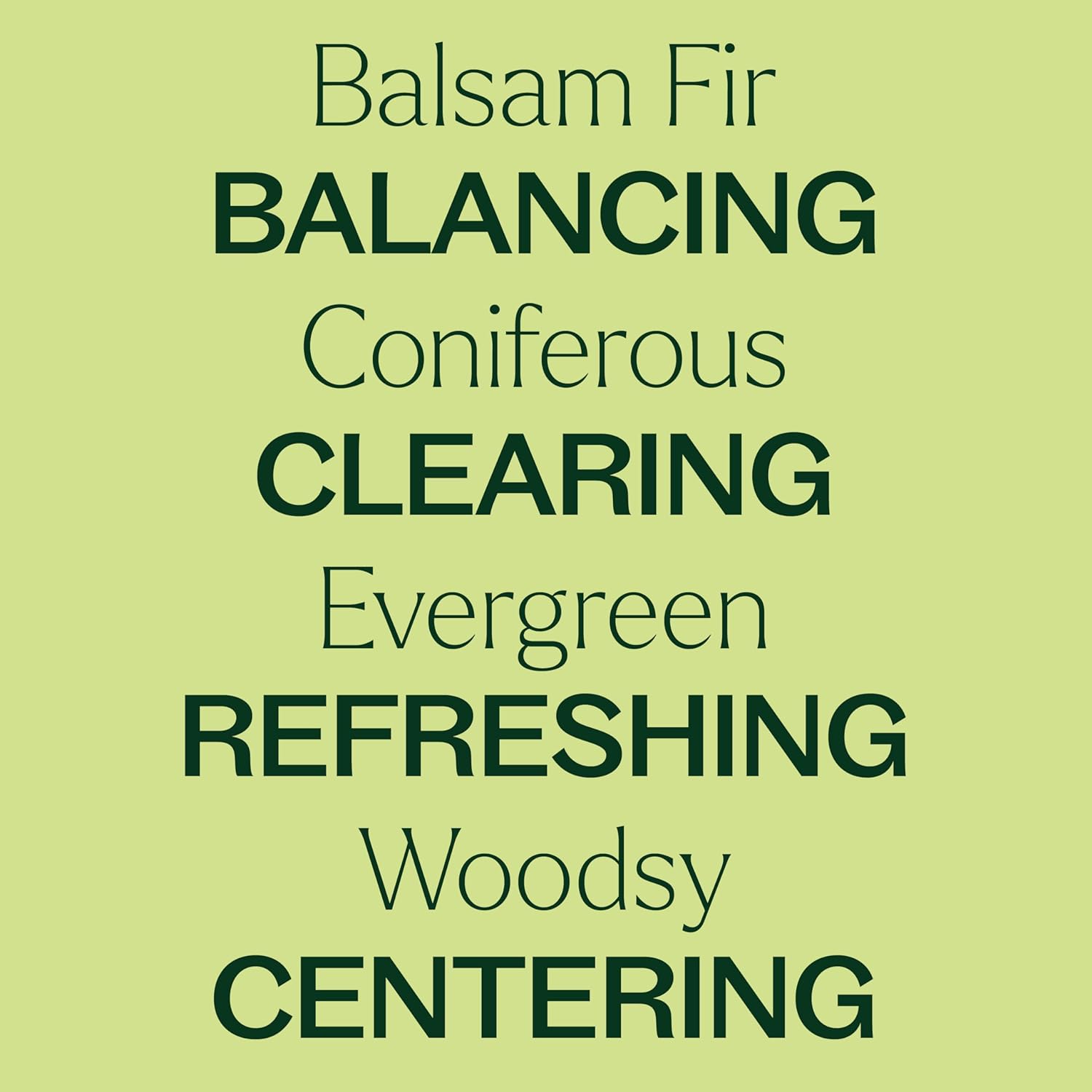 Plant Therapy Balsam Fir Essential Oil 100 mL (3.3 oz) 100% Pure, Undiluted, Therapeutic Grade : Health & Household
