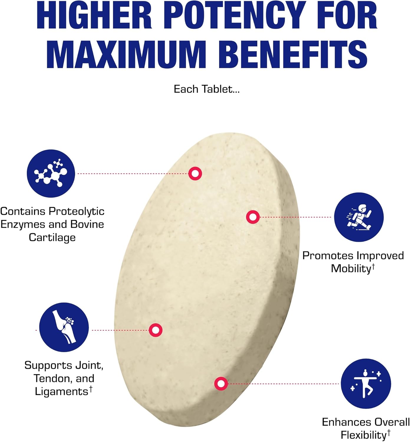 Cartilage Ligament And Tendon Supplement - Clinical Restorative Joint Support Formula With Bovine Cartilage Minerals And Proteolytic Enzymes For Enhanced Comfort Mobility Zymain 90 Support : Health & Household