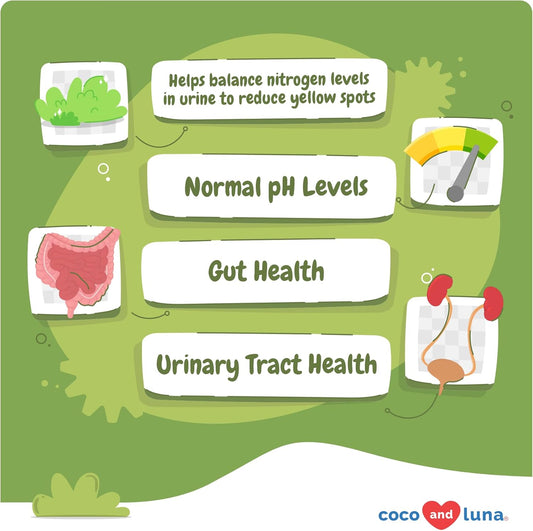 Cranberry For Dogs - Urinary Tract Support, Bladder Health, Dog Uti, Bladder Stones, Incontinence Support (Tablet)