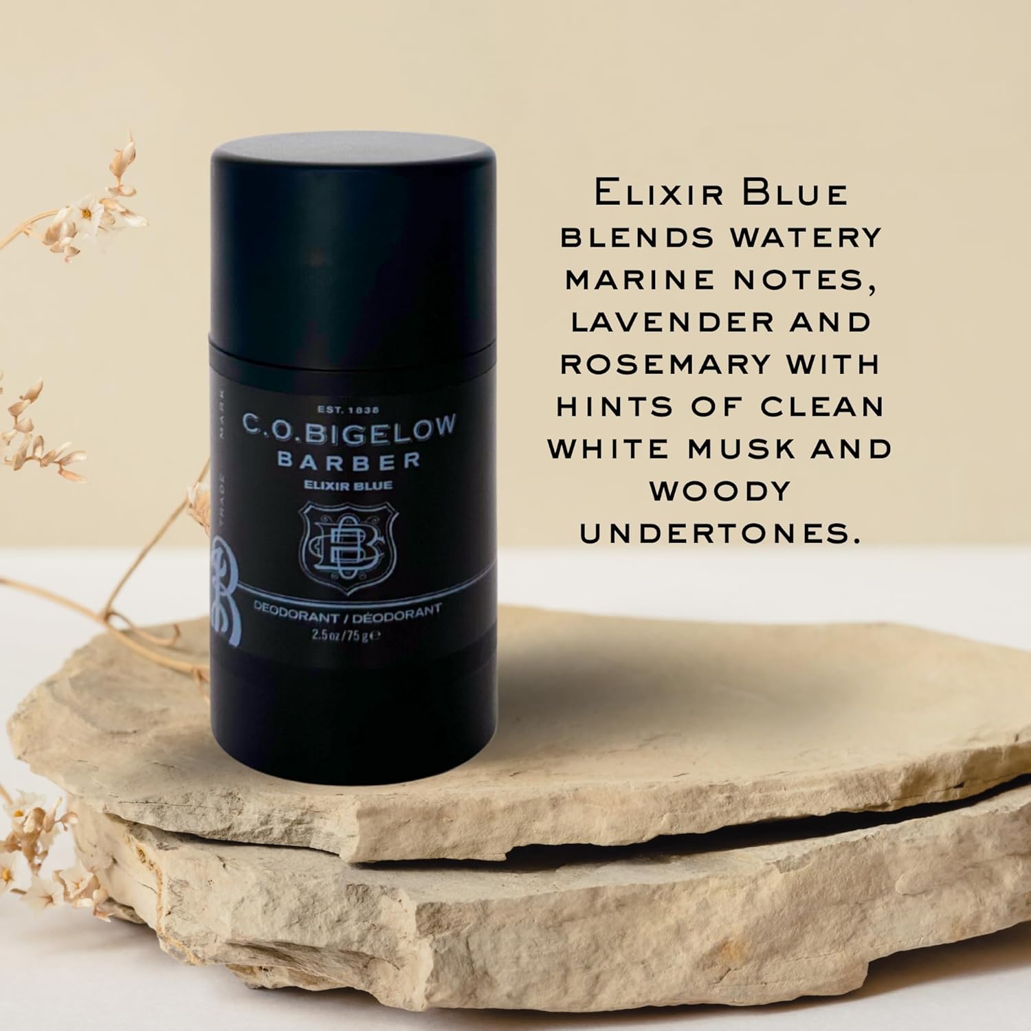 C.O. Bigelow Elixir White Aluminum Free Deodorant No. 1622, Gel Deodorant Stick, 2.5 Oz : Beauty & Personal Care