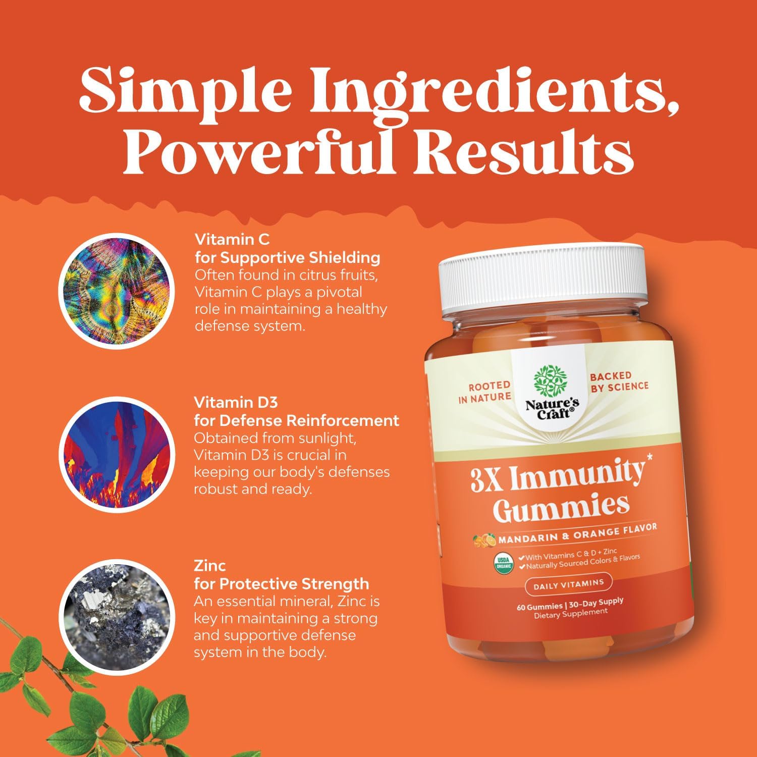 Vegan Organic Immune Support Gummies - D3 Zinc and Vitamin C Gummies for Adults Immunity - Organic Vitamin D Gummies for Adults Immune Support Supplement - Gluten Free & Non-GMO (60 Servings) : Health & Household