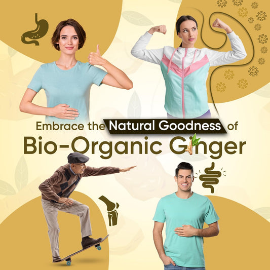 Organic Ginger Supplement - High Strength 1300Mg - Soil Association Certified - 2 Ginger Root Capsules Per Serving - Vegan Joint & Digestion Supplement