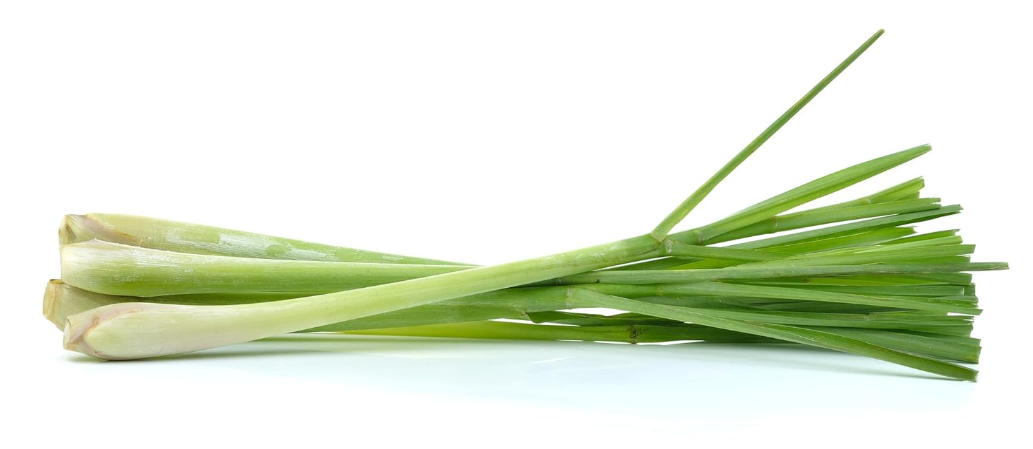 Us Organic Citronella Essential Oil, Usda Certified, 100% Pure, 30 Ml, Improved Caps And Droppers – Used For Skin Care, Diy Projects Like Candle Making And Much More : Beauty & Personal Care