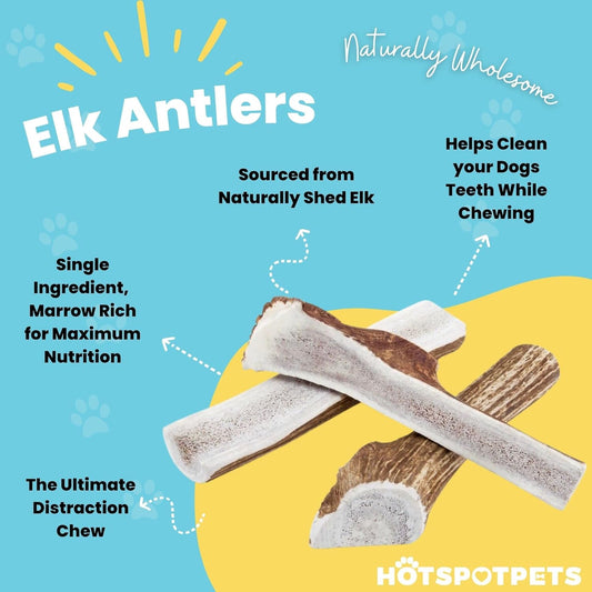 hotspot pets Premium Split Elk Antlers for Dogs - 7+ Inch Large Dog Antler Chews (4 Pack) Naturally Shed Antler Bone for Large Breed Aggressive Chewers - Made in USA - Promotes Dental Hygiene