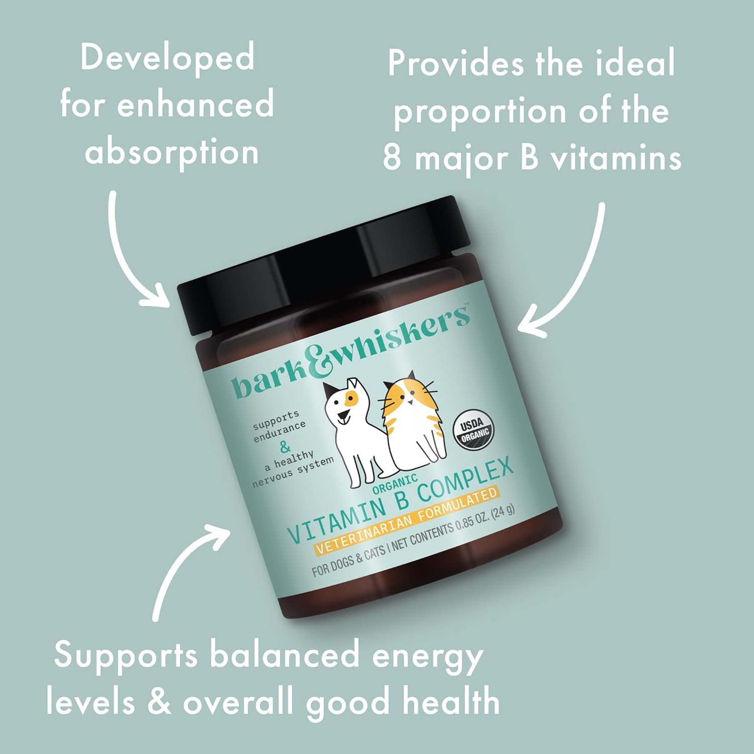 Bark & Whiskers Organic Vitamin B Complex, 0.85 Oz. (24 g), 60 Scoops, Supports A Healthy Nervous System & Endurance, Veterinarian Formulated, Non-GMO, Certified USDA Organic, Dr. Mercola : Pet Supplies