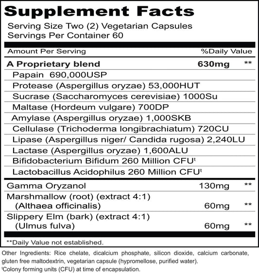 Priority One Vitamins Gastri Gest 120 Vegetarian Capsules - Powerful Combination of Plant enzymes That Help Maintain Healthy Digestion and intestinal Enzyme Activity