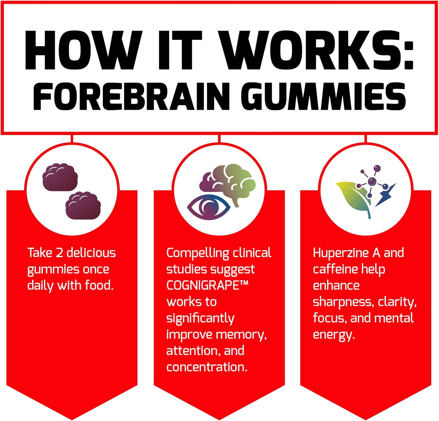 Force Factor Forebrain Gummies, 3-Pack, Nootropic Brain Support Supplement For Memory & Focus, Brain Vitamin With Cognigrape & Huperzine A, Focus Gummies To Support Recall & Sharpness, 180 Gummies
