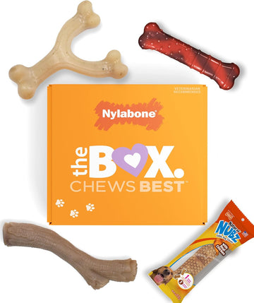 Nylabone Dog Toy Gift Box, Includes 3 Strong Chew Toys And 1 Dog Treat, Chew Toys For Small Dogs, Small/Regular (4 Count)