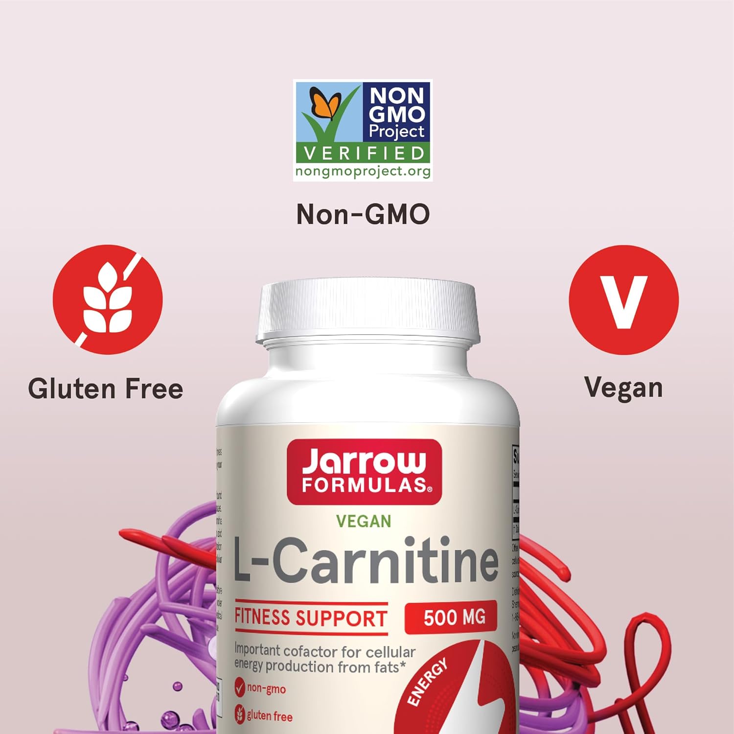 Jarrow Formulas L-Carnitine 500 mg, Dietary Supplement, Support for Cellular Energy Production, 100 Veggie Capsules, 100 Day Supply : Health & Household