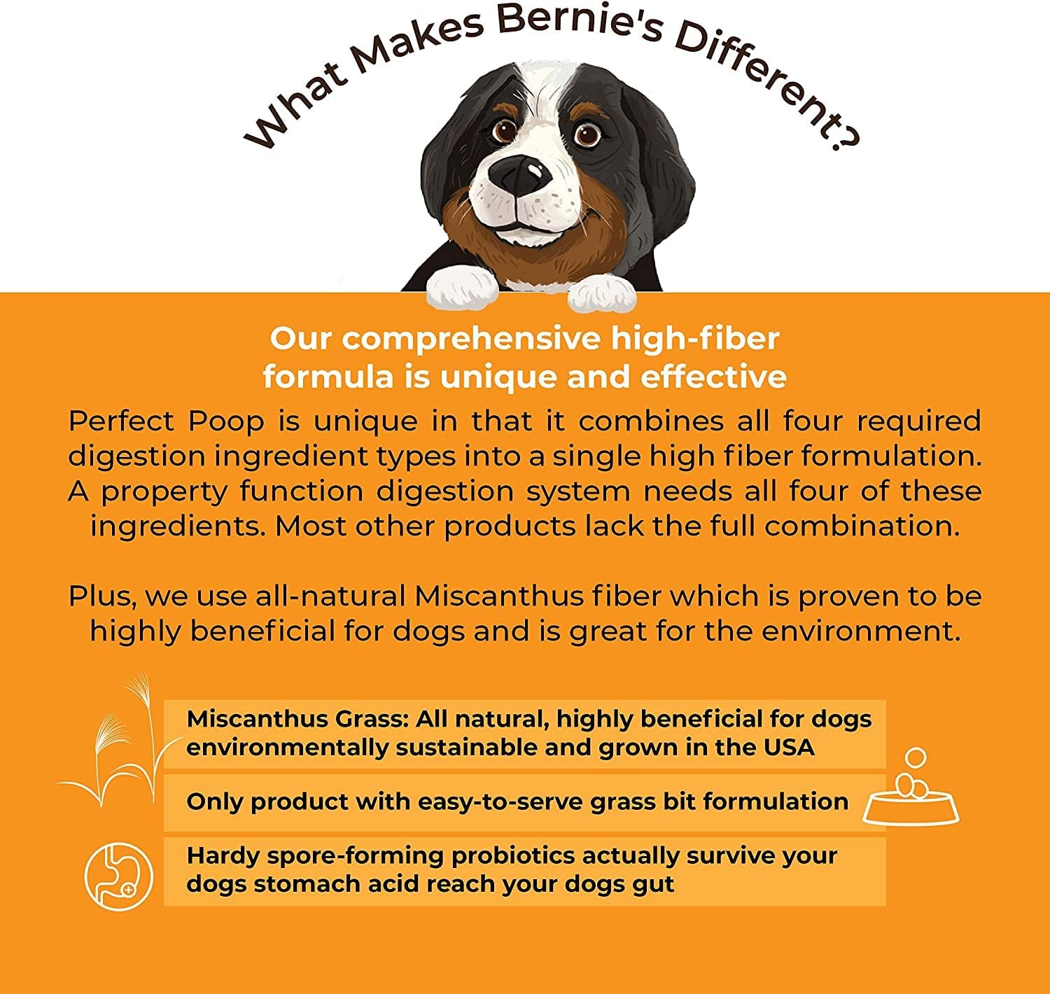 Perfect Poop Digestion & General Health Supplement for Dogs: Fiber, Prebiotics, Probiotics & Enzymes Relieves Digestive Conditions, Optimizes Stool, and Improves Health (Cheddar Cheese, 30.0) : Pet Supplies