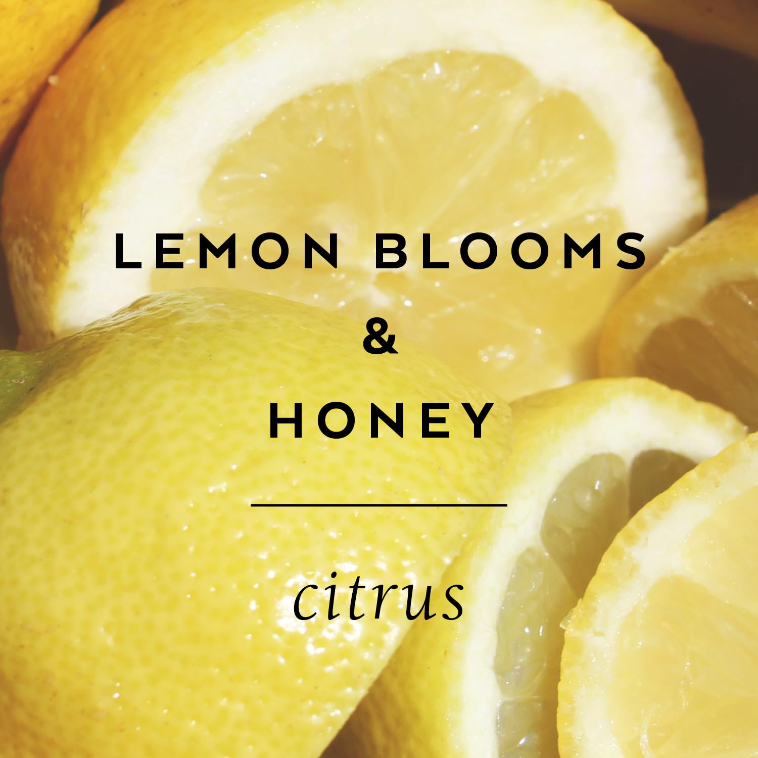 The Cottage Greenhouse Lemon Blooms & Honey Body Butter, 5.5 Oz., Shea Butter, Aloe, Honey & Avocado Oil, Body Lotion For Women, Hydrating & Smooth Body Moisturizer : Beauty & Personal Care